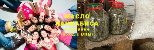 индика Апатиты